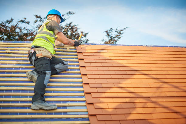 Professional Roofing services in Laporte, CO